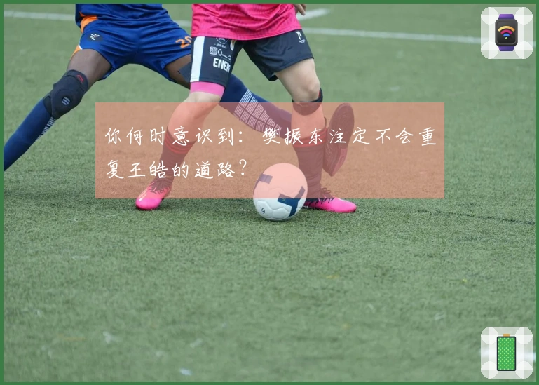 你何时意识到：樊振东注定不会重复王皓的道路？