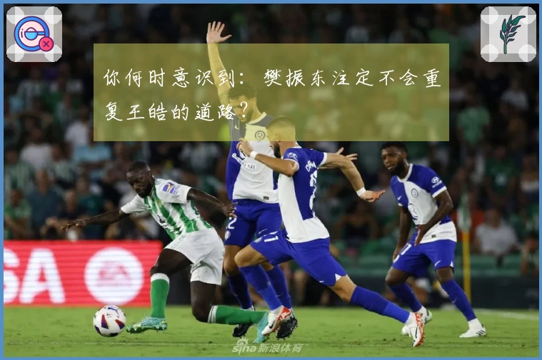 你何时意识到：樊振东注定不会重复王皓的道路？